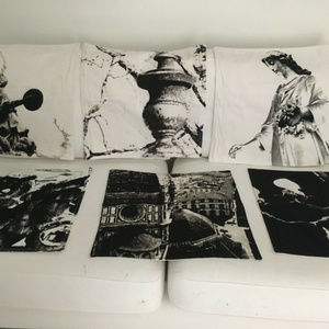 Aidan Gray Pillow Covers Set of 6 Gargoyle Angel